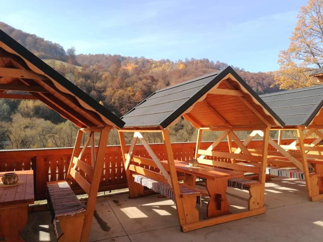 Casa Tomoiaga 호텔 Vişeu de Sus 외부 사진